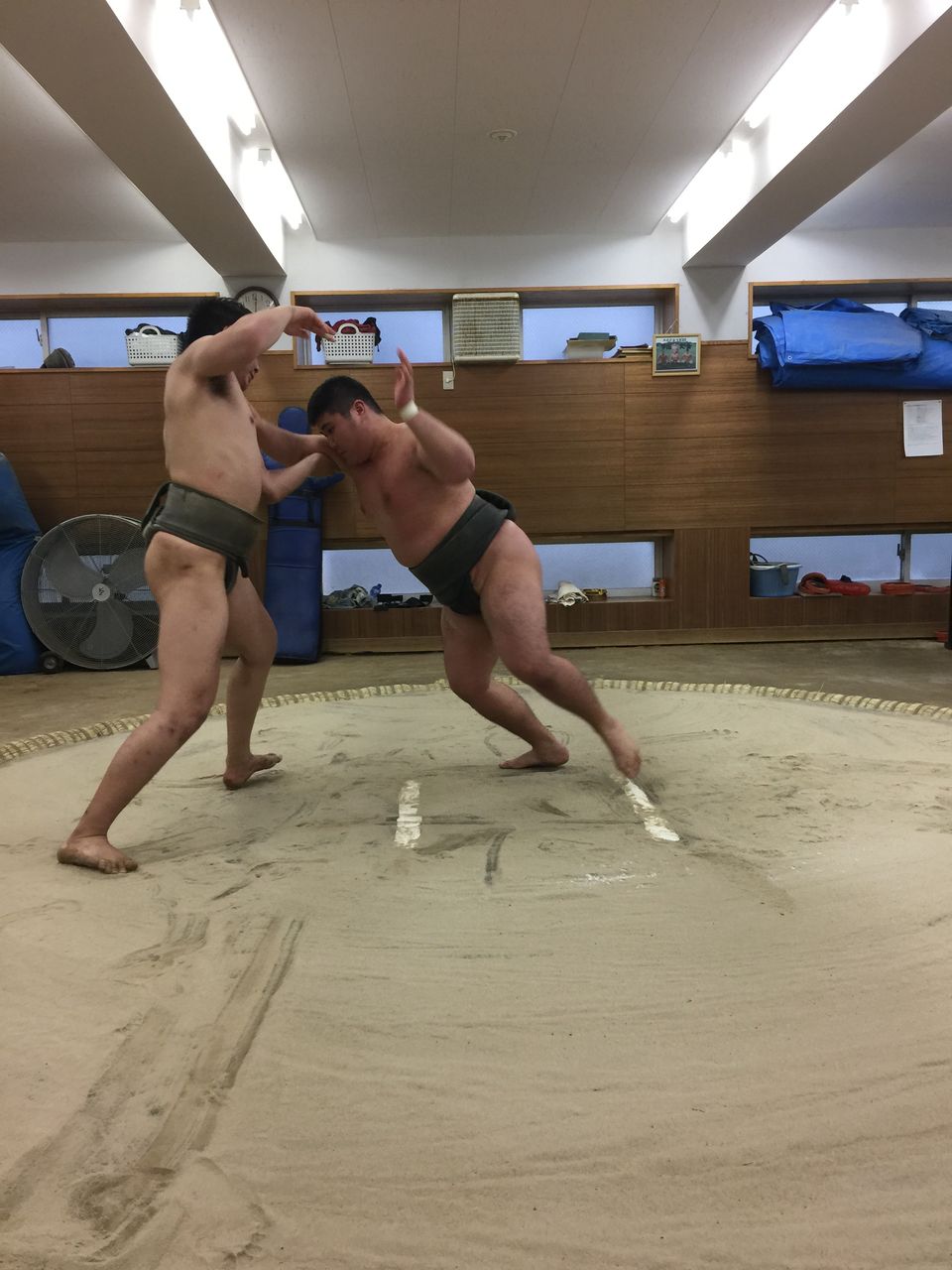 イメージ 5