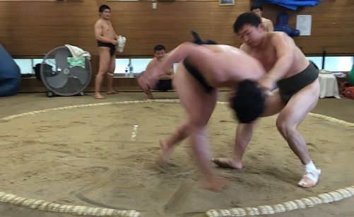 イメージ 9