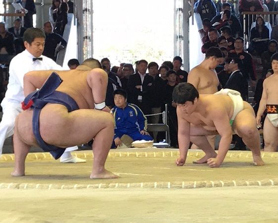 イメージ 2