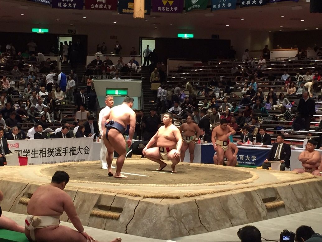 イメージ 5