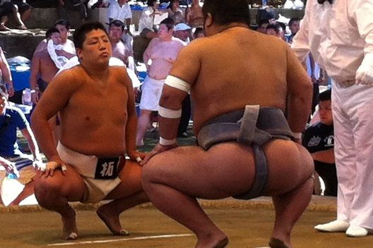 イメージ 7