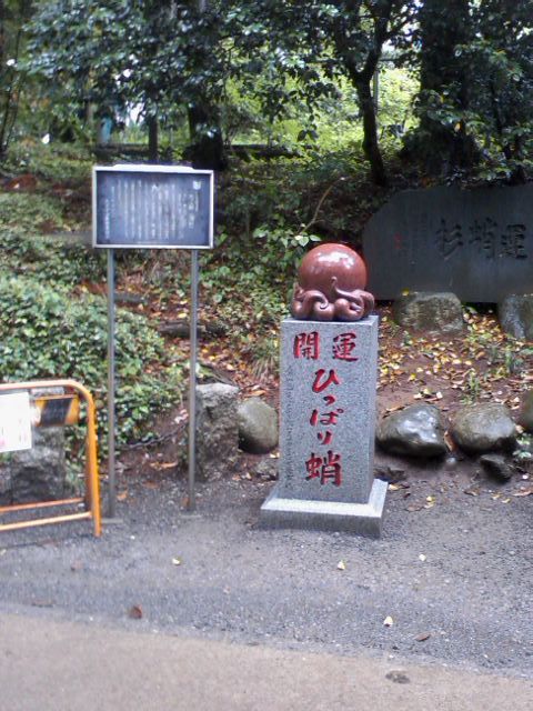 イメージ 15