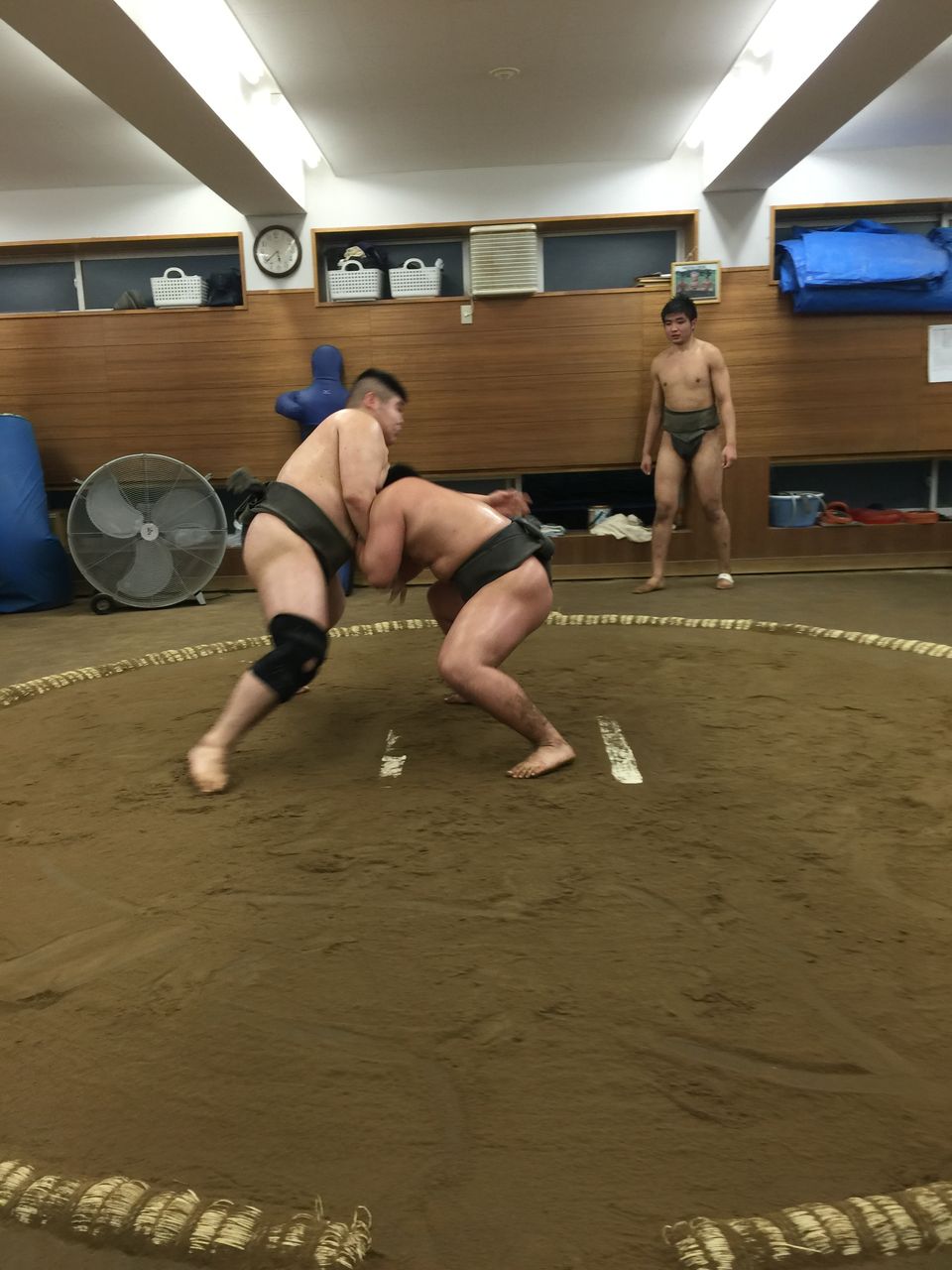 イメージ 7