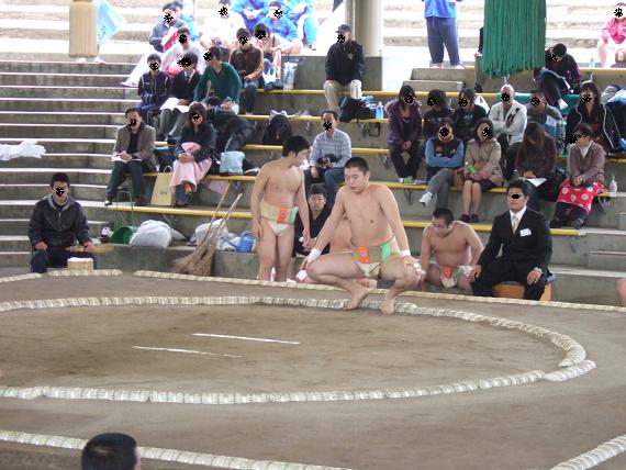 イメージ 7