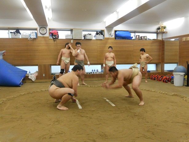 イメージ 5