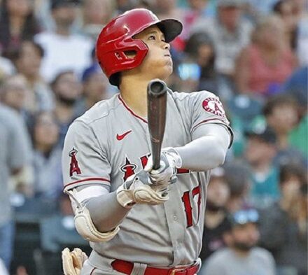大谷33号