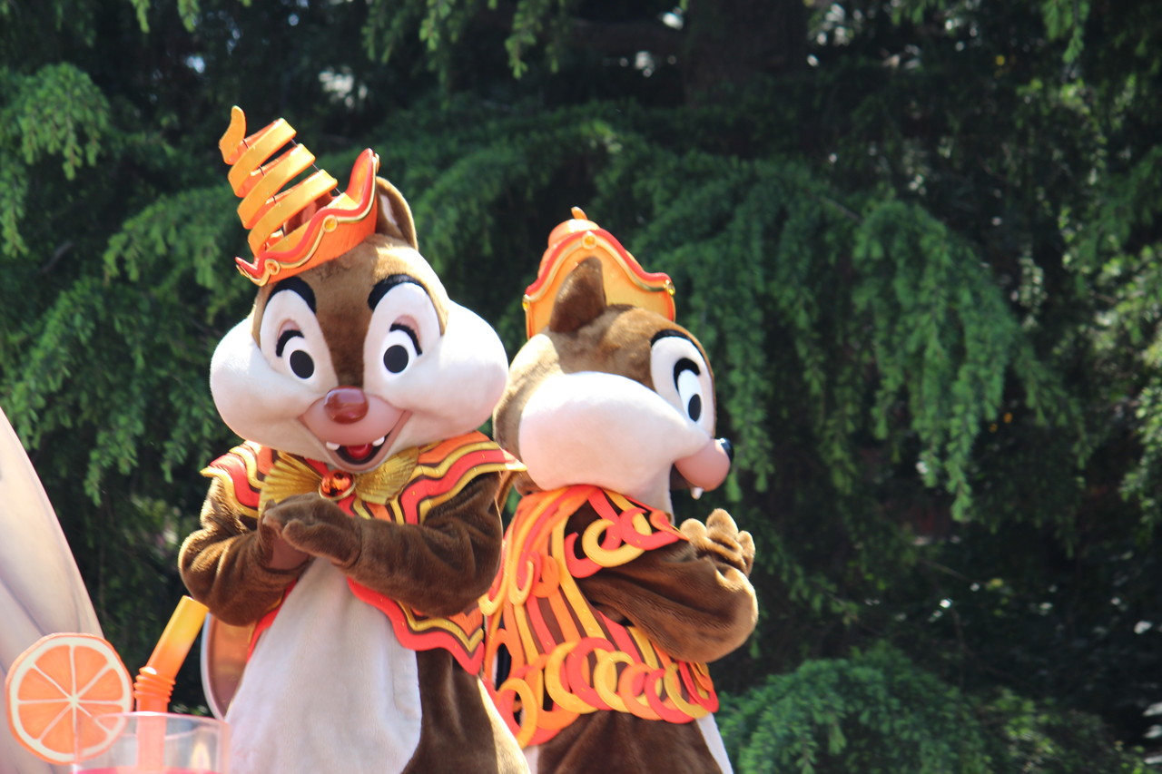 ドリーミングアップ Part3 Disney Magical Diary