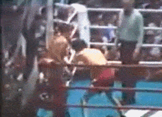 モハメドアリのディフェンスがこれ キチガイやろ ハリネズミまとめ