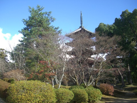 CIMG2555