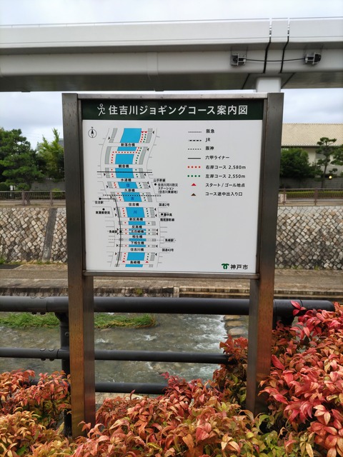 1000005394
