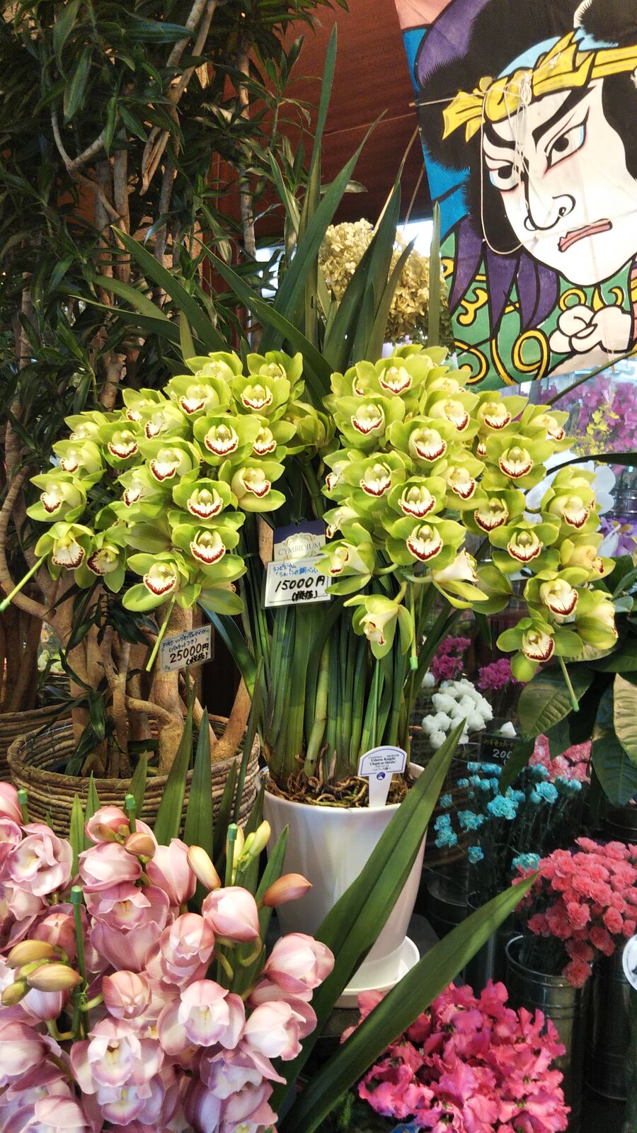 花 Npブログ Leitmotiv 言葉 論理 主題連鎖への旅 花 Npブログ Leitmotiv 言葉 論理 主題連鎖への旅