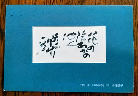 1000022003