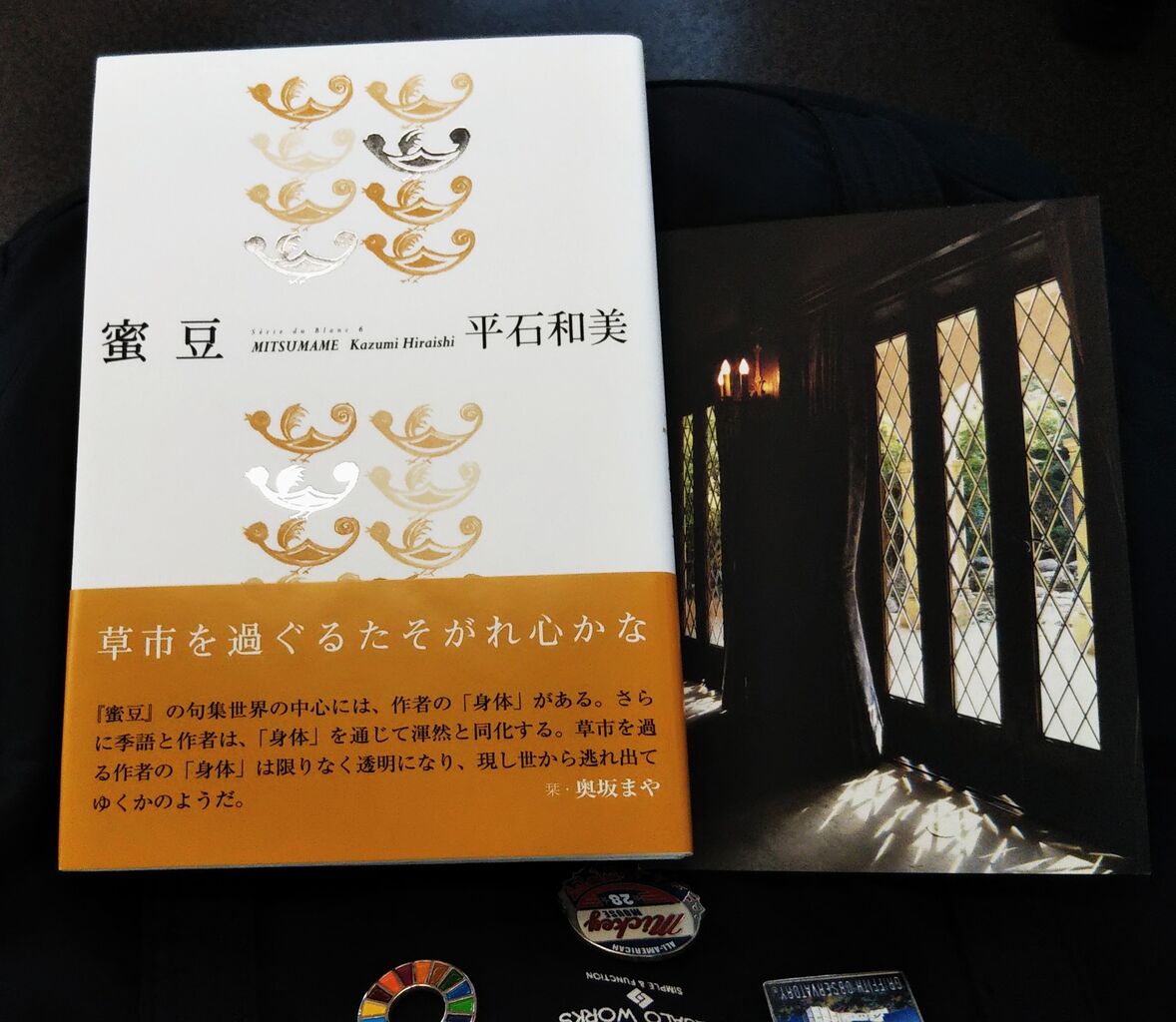年09月 Npブログ Leitmotiv 言葉 論理 主題連鎖への旅 年09月 Npブログ Leitmotiv 言葉 論理 主題連鎖への旅