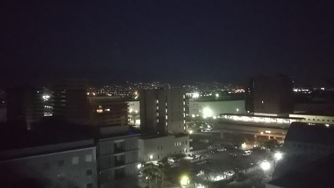 DSC_7010