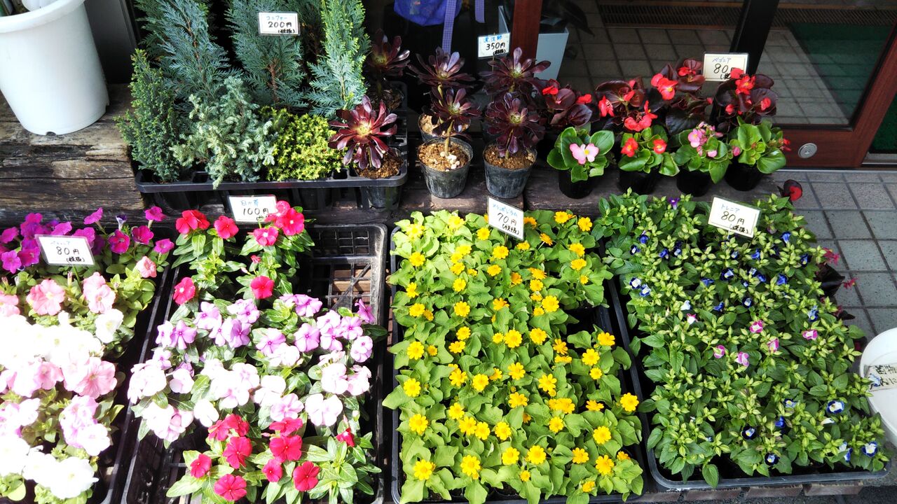 枚方楠葉の花屋さん おくだ花舗 Okuda Florist を推す Npブログ Leitmotiv 言葉 論理 主題連鎖への旅 枚方楠葉の花屋さん おくだ花舗 Okuda Florist を推す Npブログ Leitmotiv 言葉 論理 主題連鎖への旅