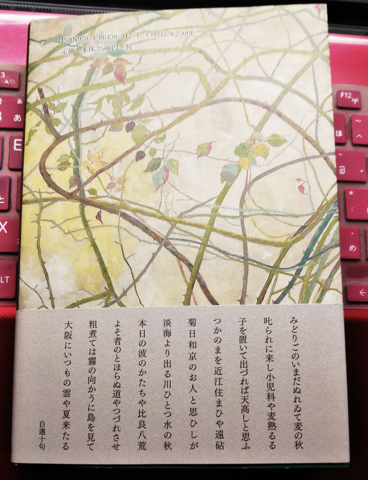琵琶行 如月真菜句集/文学の森/如月真菜（単行本） 新刊本》琵琶行 如月真菜句集 : 千机書房 - 通販 - Yahoo
