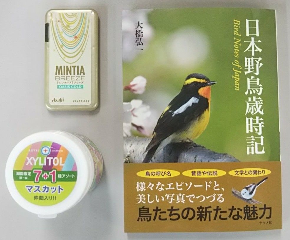 冬鳥の季節性識る 野鳥歳時記 Npブログ Leitmotiv 言葉 論理 主題連鎖への旅