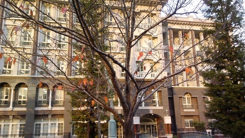 DCIM1539