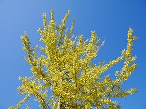 P1060976