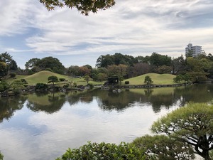 IMG_7516 2