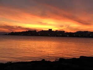 IMG_7271