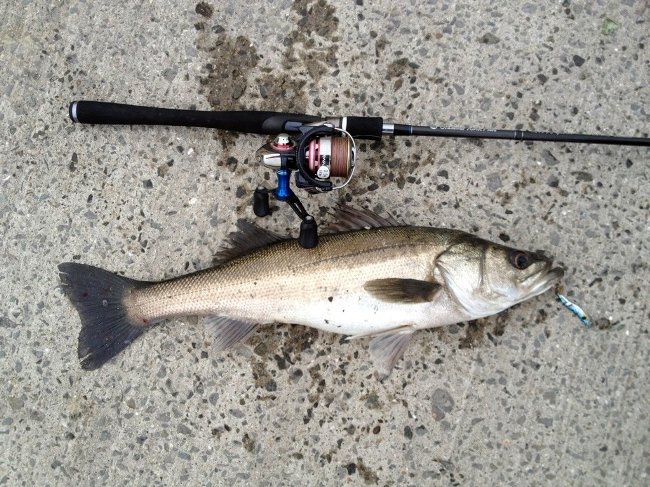 新たなフィールドと釣り冒険 Keep Casting Leon S Style Fishing 新たなフィールドと釣り冒険 Keep Casting Leon S Style Fishing