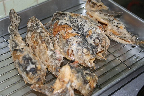 久々のメバル料理 Keep Casting Leon S Style Fishing