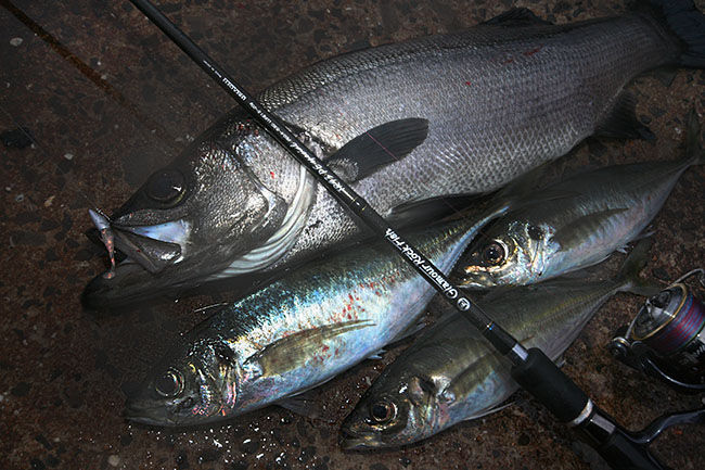 Q A Peラインについて Keep Casting Leon S Style Fishing Q A Peラインについて Keep Casting Leon S Style Fishing
