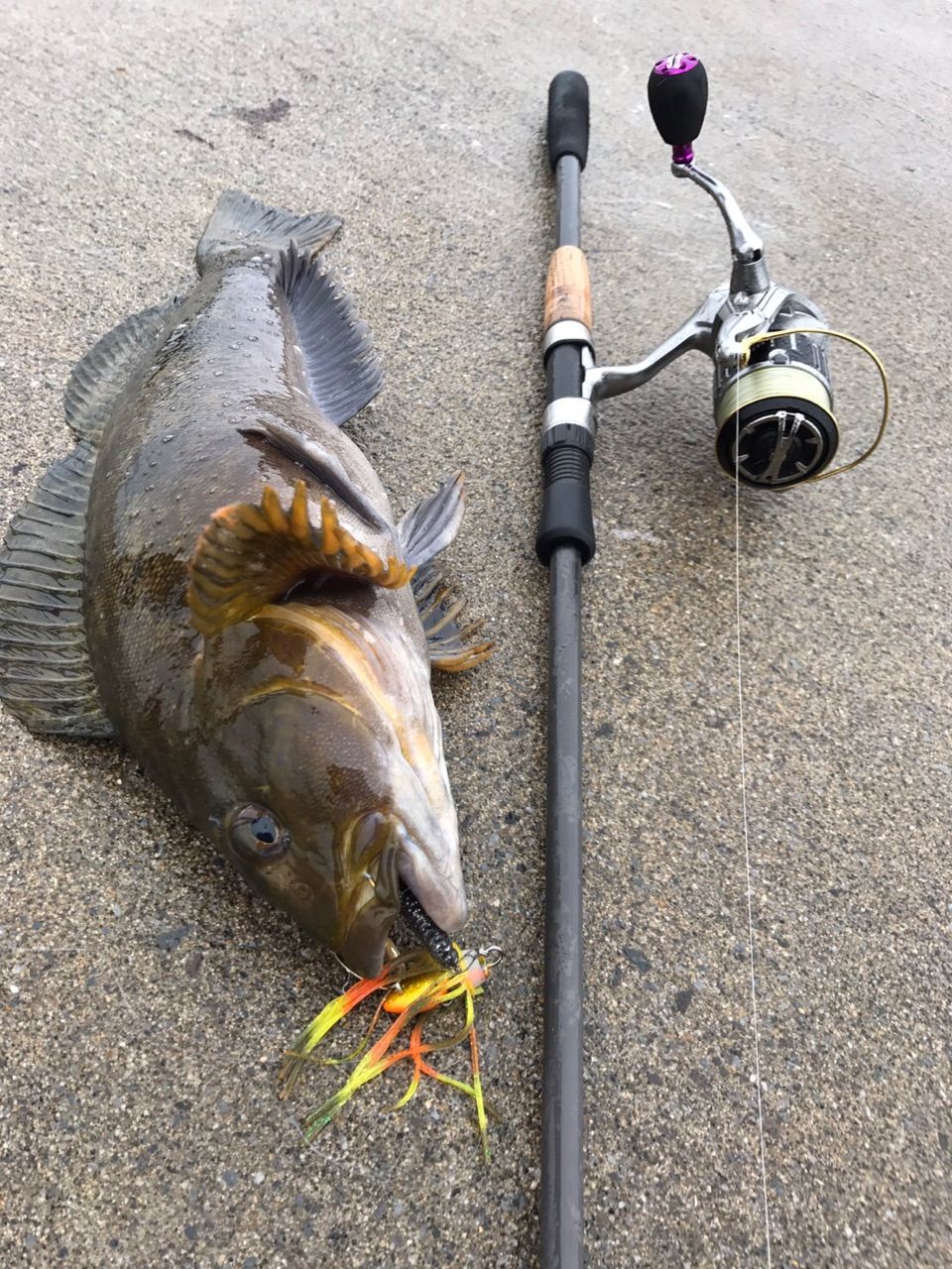 ロックンチャターな夏休み Keep Casting Leon S Style Fishing