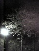 080407_232622