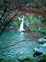 紅葉と滝