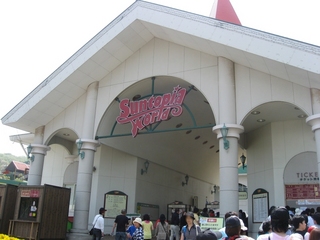 0505niigata05