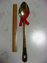 0919bigspoon