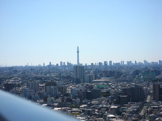 1011fuji3