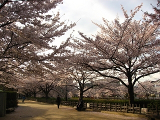 0410sanpo7