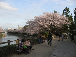 0410sanpo6