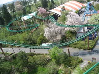 0505niigata16