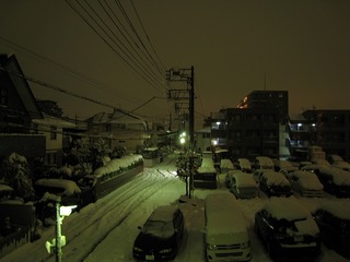 0215大雪再来朝1