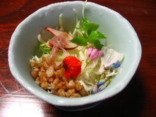 0817niigata7