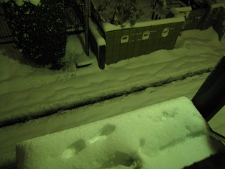 0215大雪再来朝2