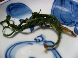 0817niigata12