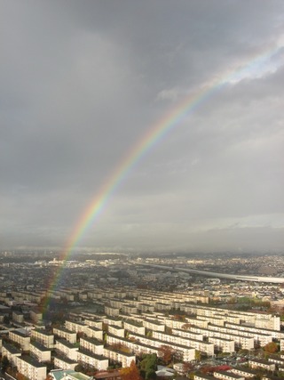 1203rainbow8