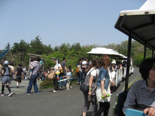 0505niigata26