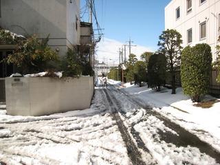 0209大雪後の我が家周辺3