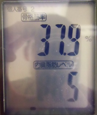 1229GYM3