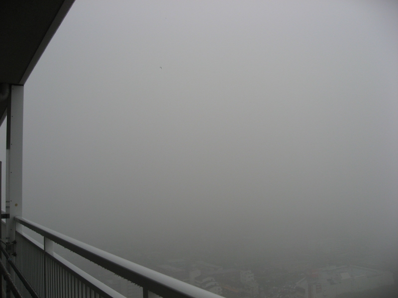 雨と霧で外が全然見えない 東京スカイツリーを軽く タクティス社長ブログ Takutice