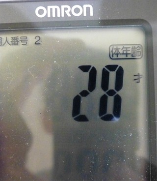 gym4