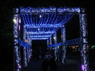 1225hikari2