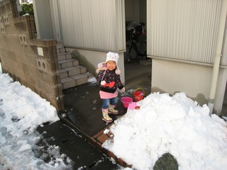 0209大雪後の我が家周辺1