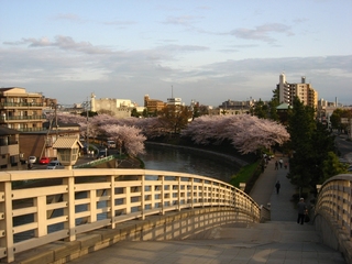 0410sanpo9